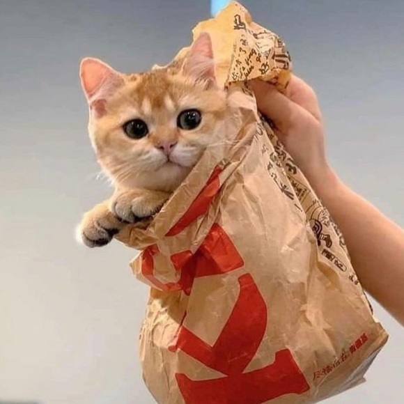 Tis I - Picture 1 of 1